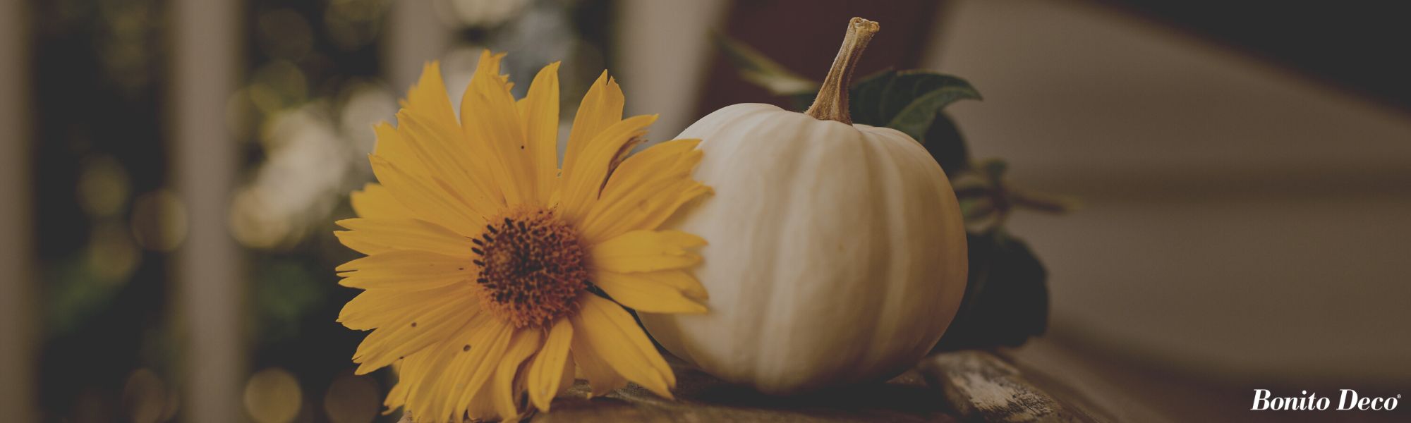 How can seasonal changes affect our mood? | Selfcare, Healthy
